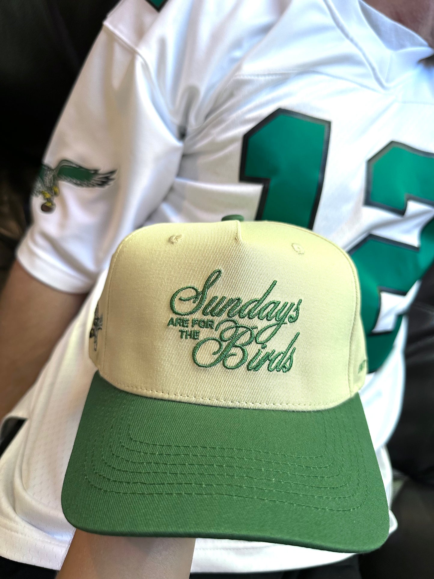 “Sundays are for the Birds” Eagles Hat