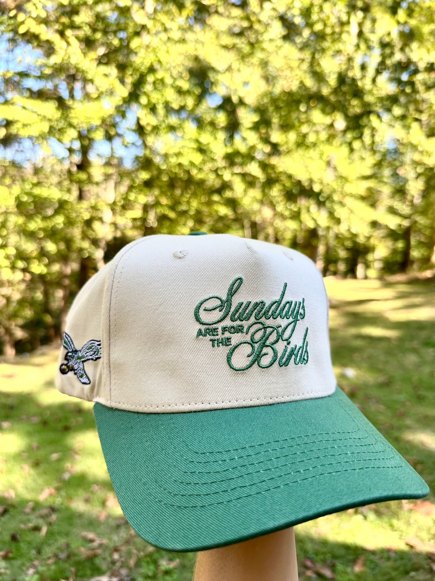 “Sundays are for the Birds” Eagles Hat