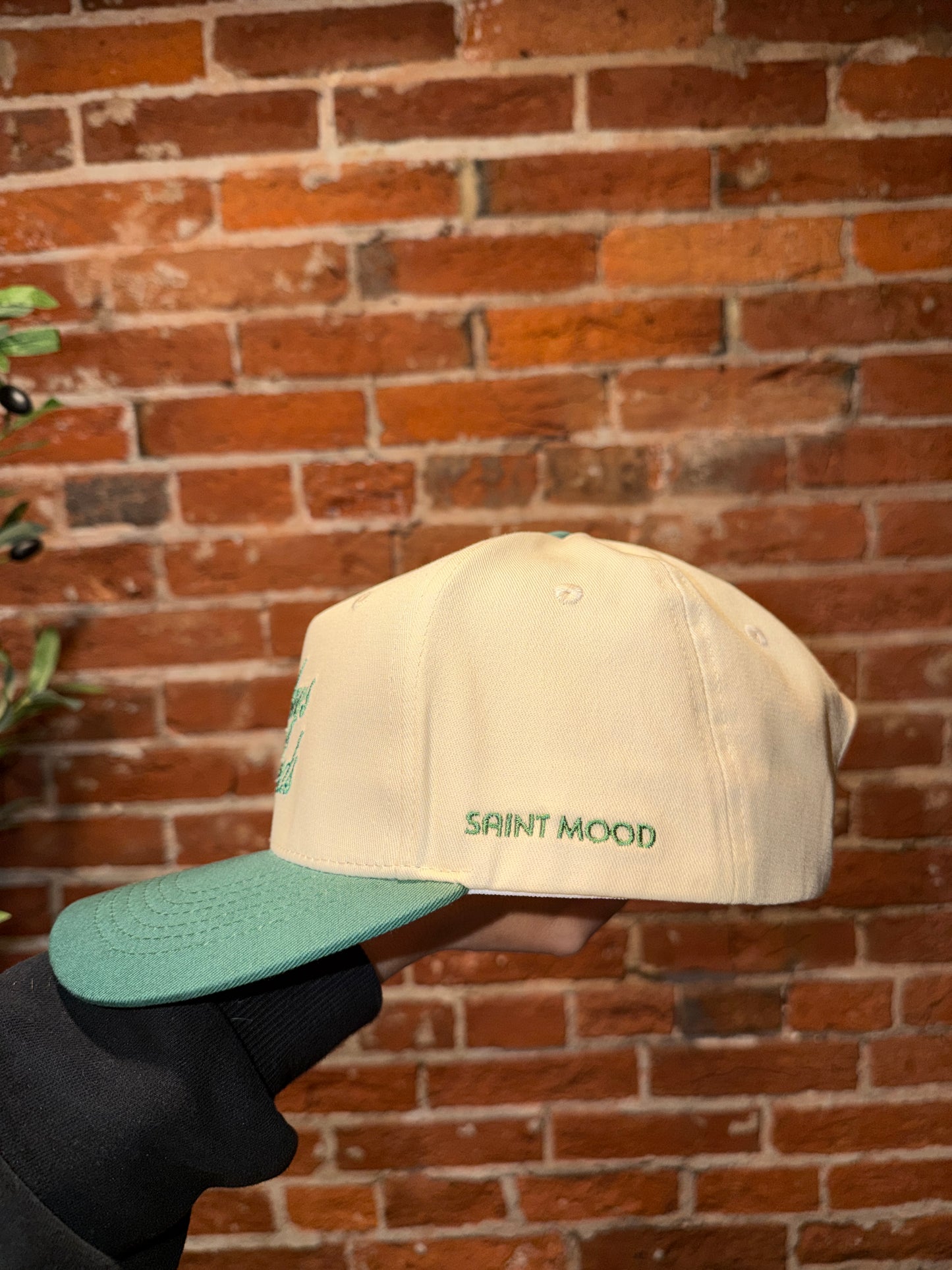 “Sundays are for the Birds” Eagles Hat