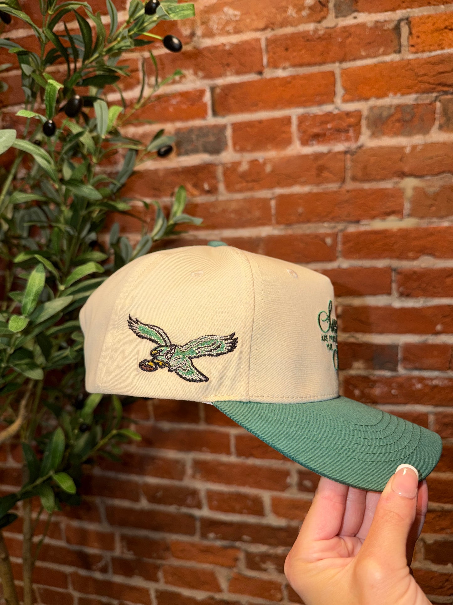 “Sundays are for the Birds” Eagles Hat